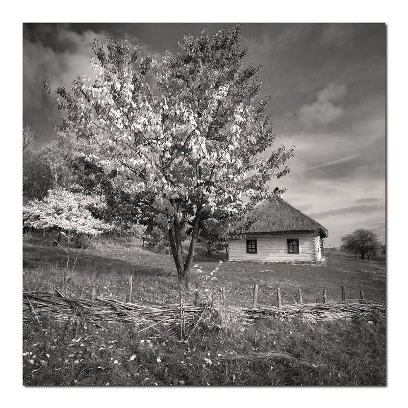 Simple village landscape... фото превью
