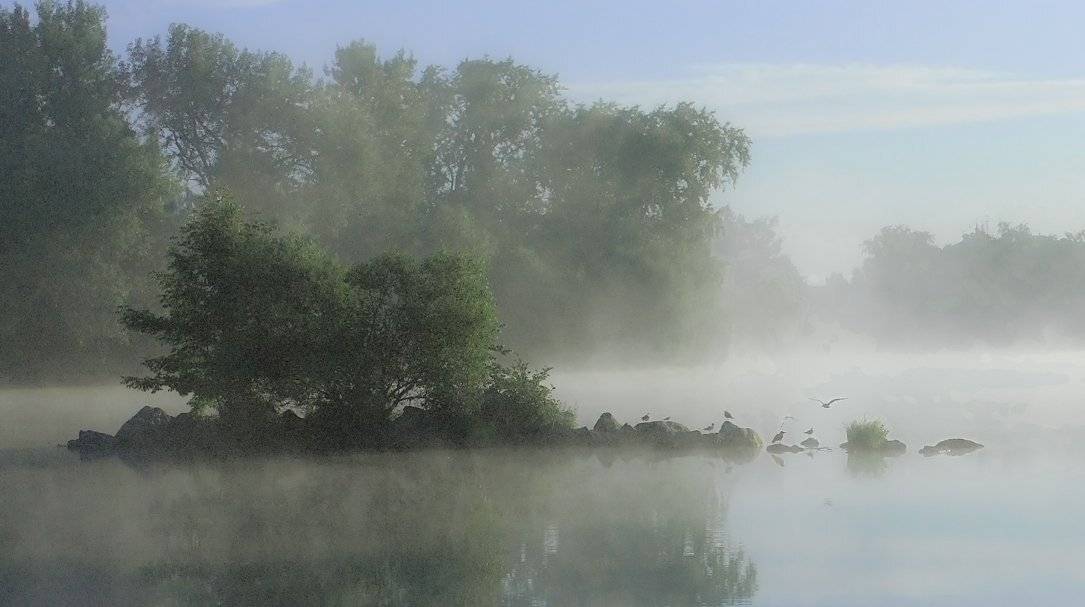 утро., озеро, Владимир Георгиевич