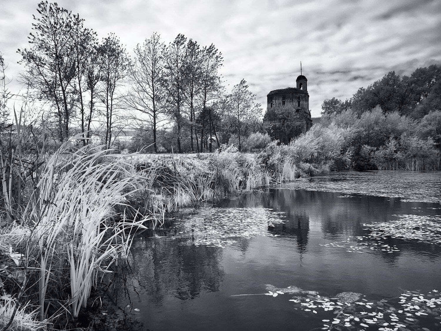 , Максим Евдокимов