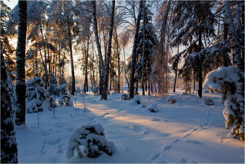 пейзаж *** фото превью