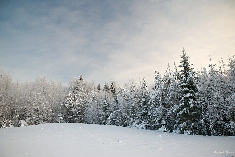 зимняя, сказка Стражи зимы.... фото превью