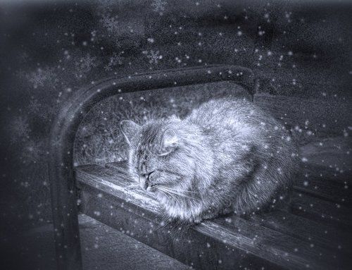 А где-то праздник...