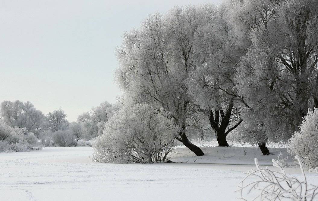 , Валерий Кондратов