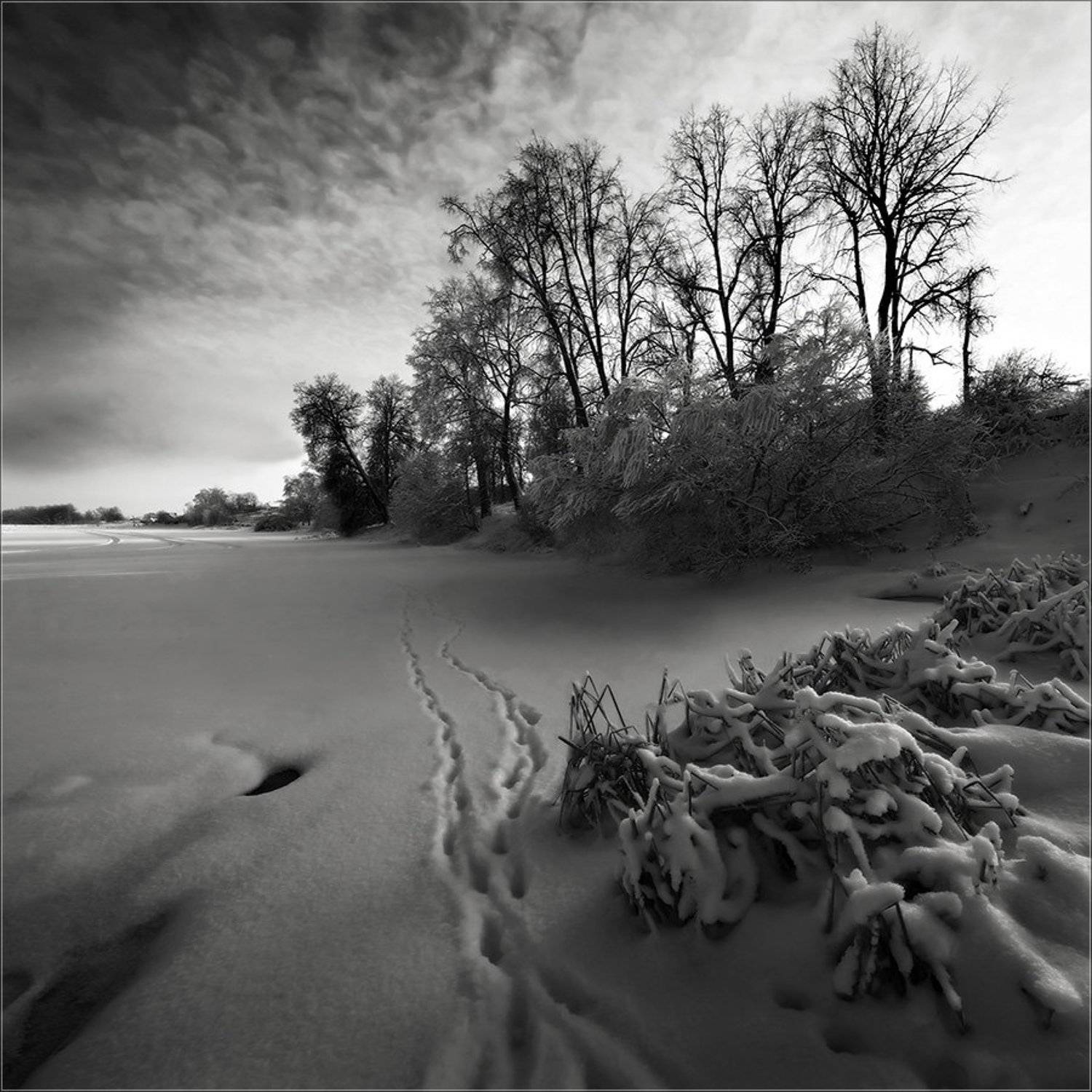 , Андрей Финогенов