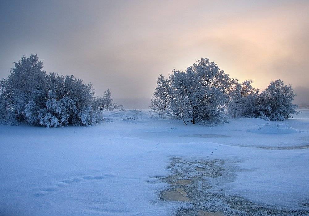 , Александр Коротков