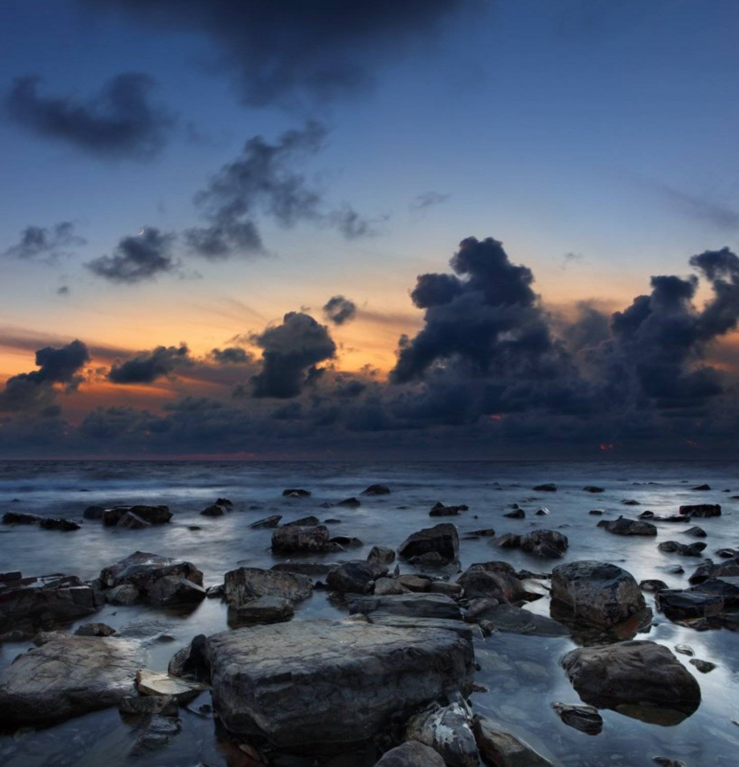 , А.П.Кактус