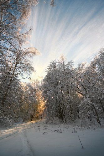 небо, солнце, снег