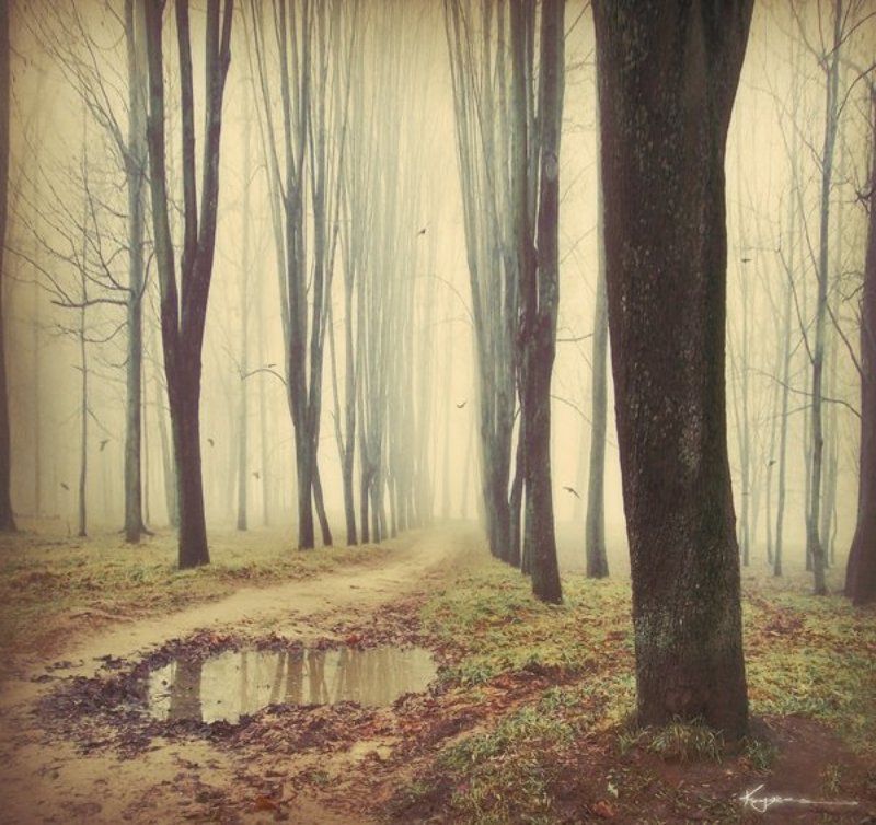 ... фото превью