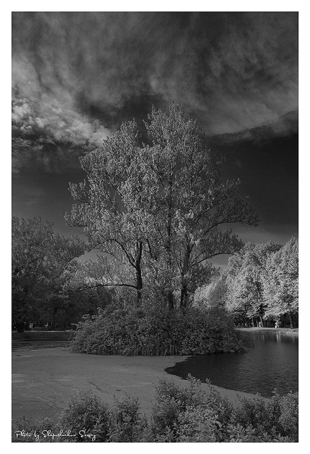 , Sergey Shaposhnikov