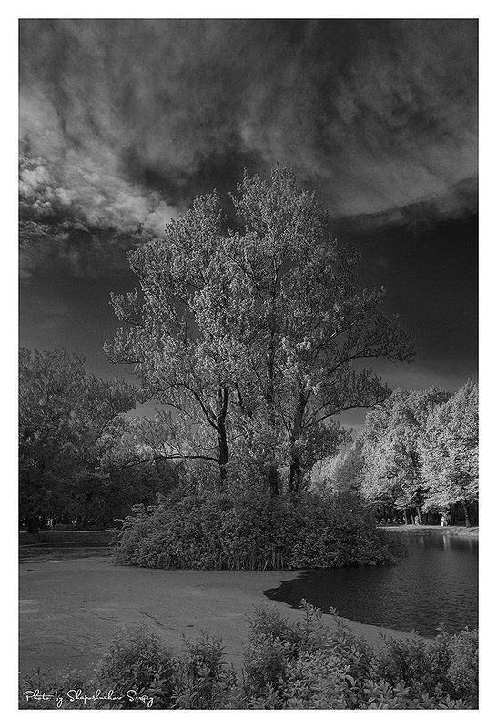 *** фото превью