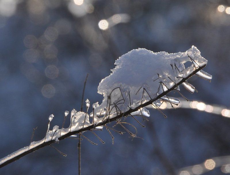 Ледяной наряд фото превью