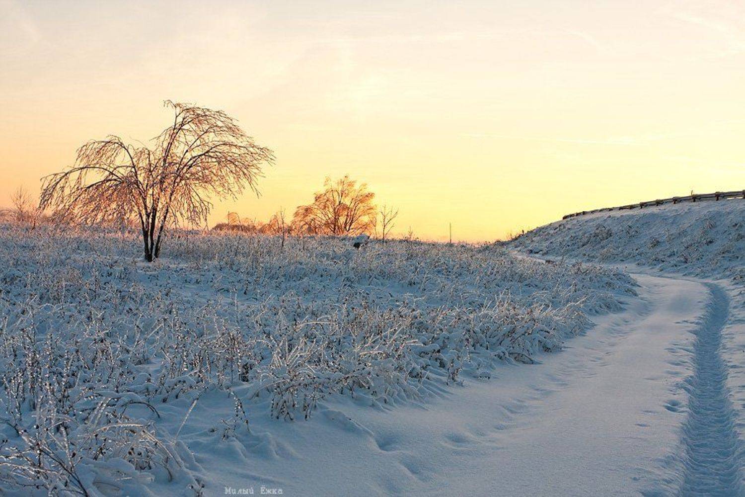 закат, Милый Ёжка