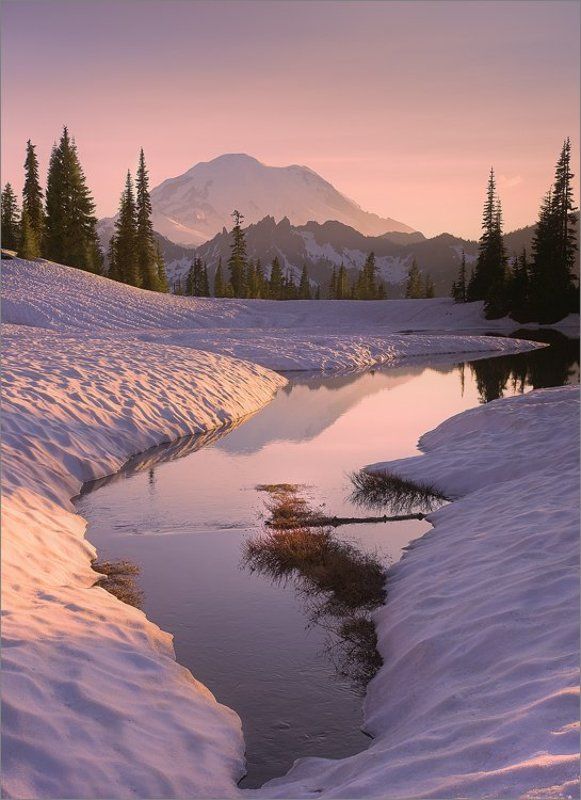 mt. rainier,  washington st. upper tipsoo lake Two Moods of  One Scenery фото превью