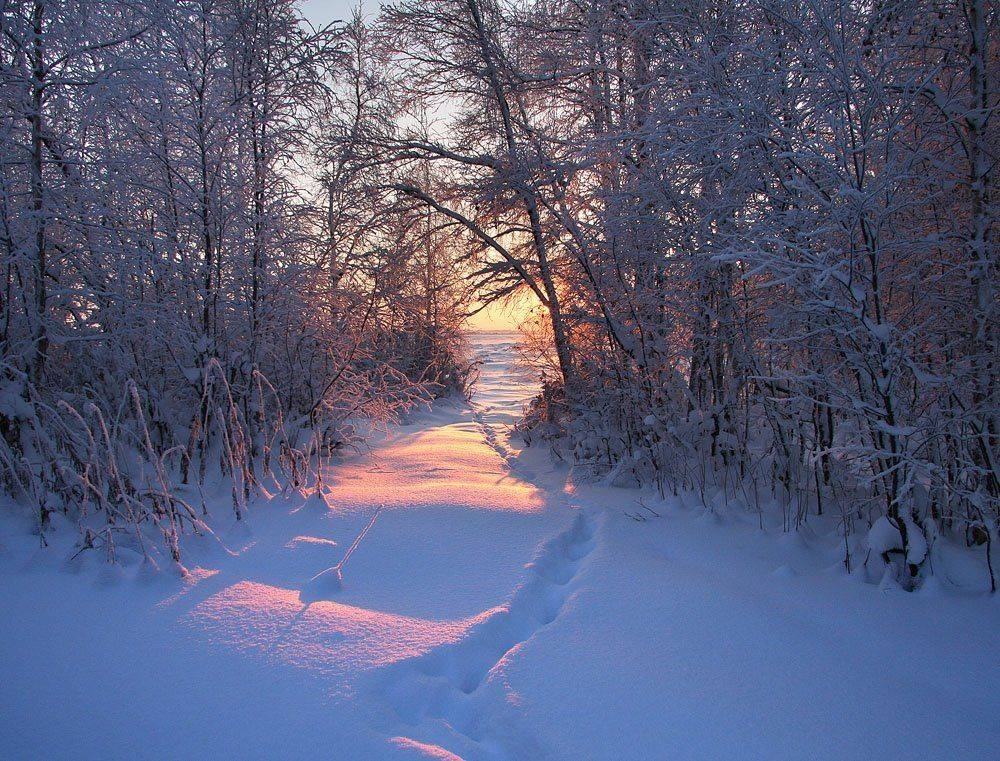 , Александр Коротков