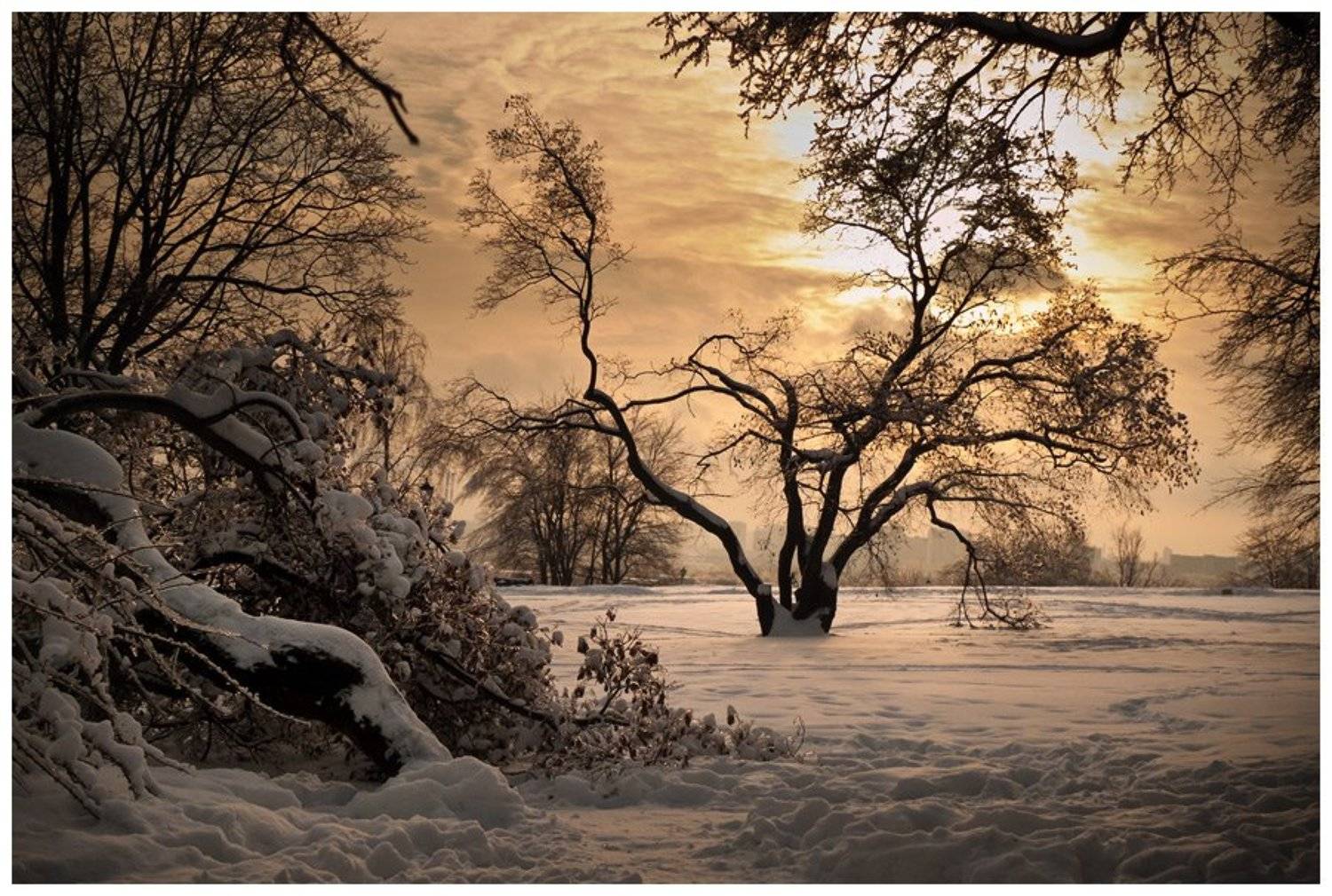 , Анатолий Иванов