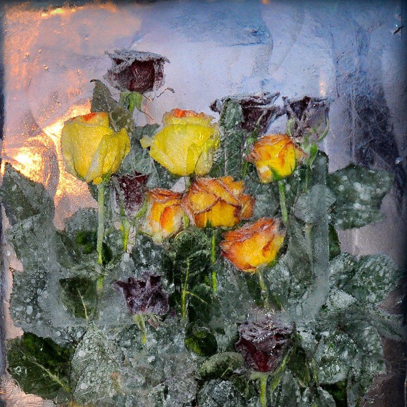 ледянные, букеты.  фото превью