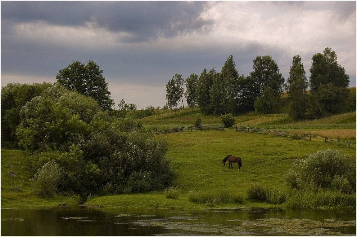 , Николай Шахманцир