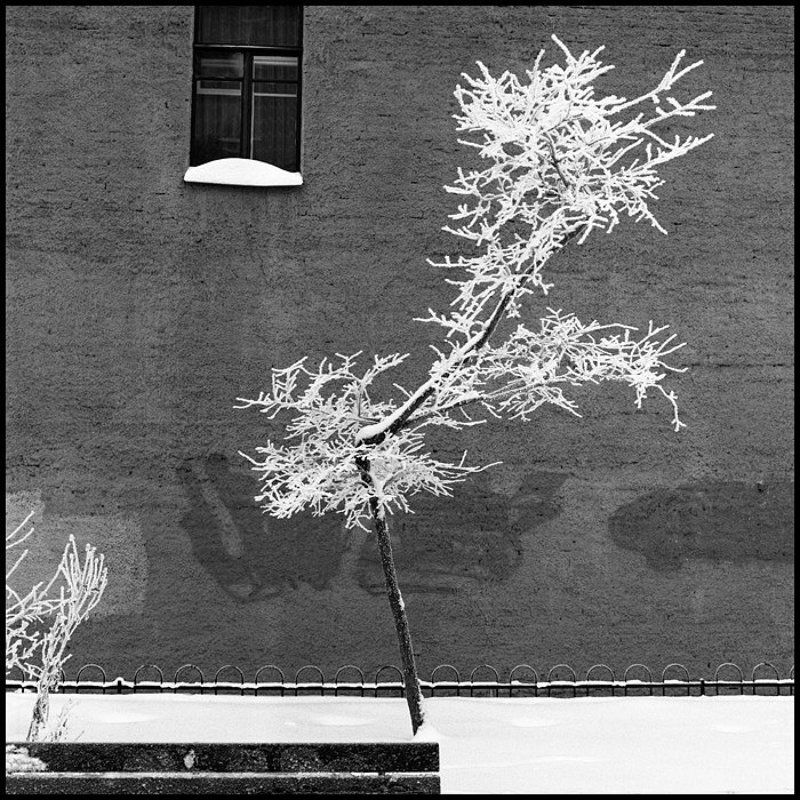 фотограф на свадьбу, свадебная фотография, алексей силаев, silaev *** фото превью