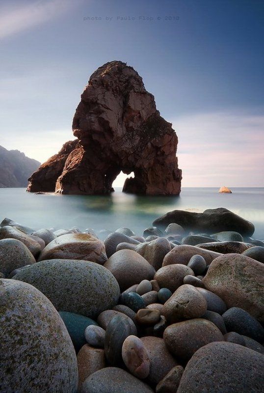 The Coast.