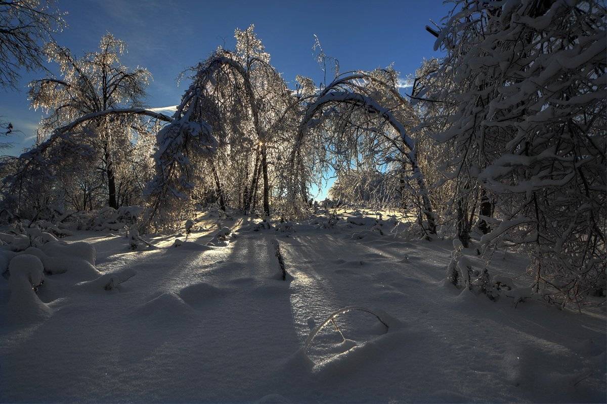москва, Матвеев Николай