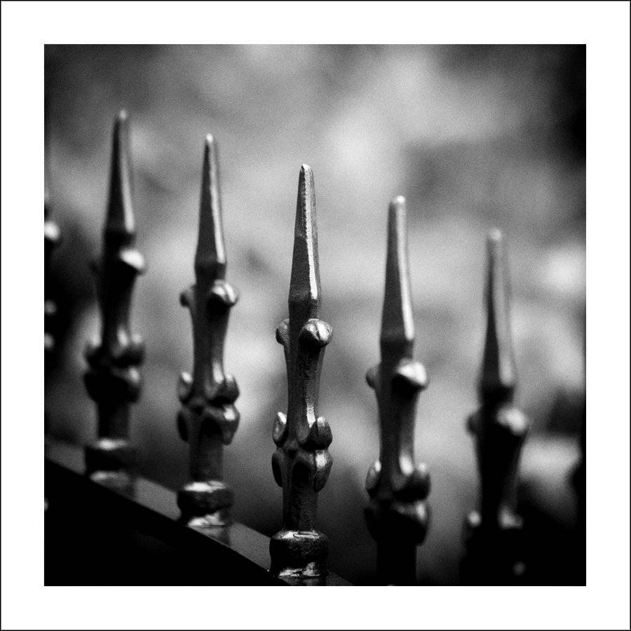 швейцария, берн, Лариса Гурьева