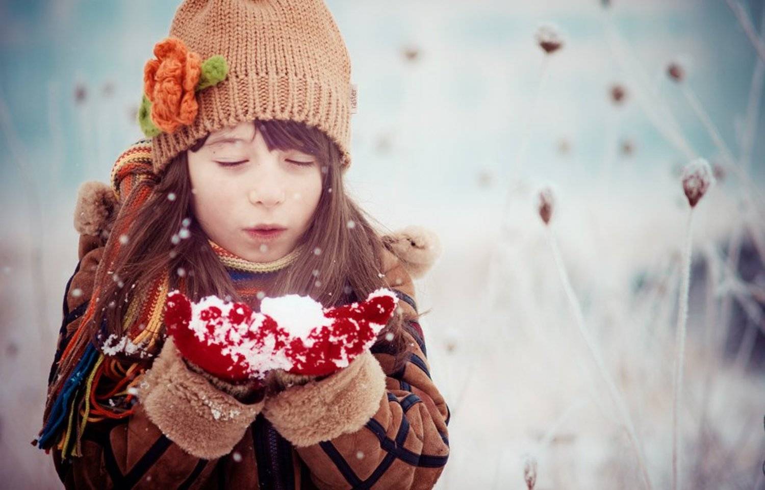 , Svetlana Bekyarova