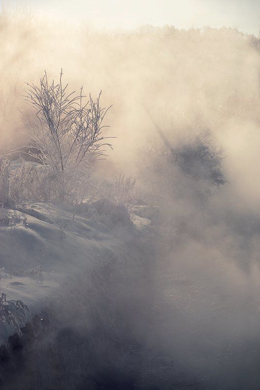 воронеж, пригород, природа, мороз, утро, туман, солнце sunshine фото превью