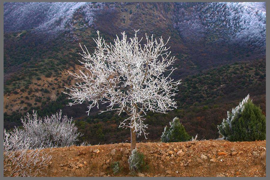 , Konstantyn Kuznetsov