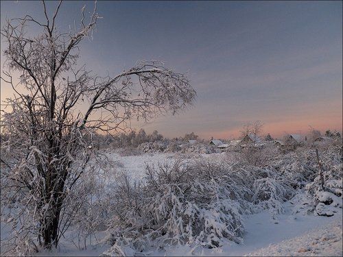 Рождественное утро