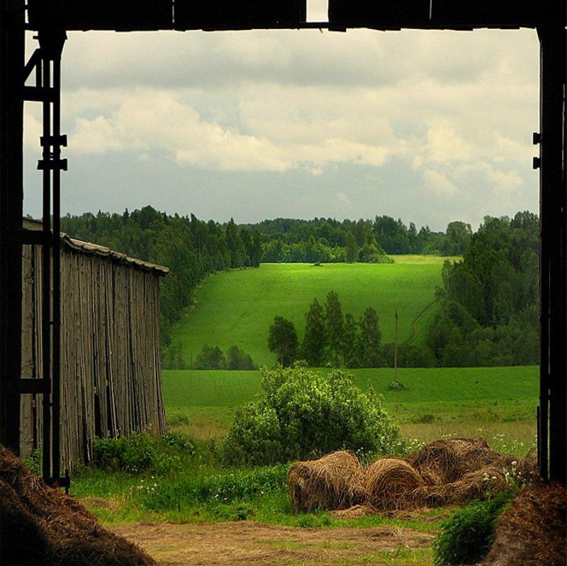 Утро на сеновале фото превью