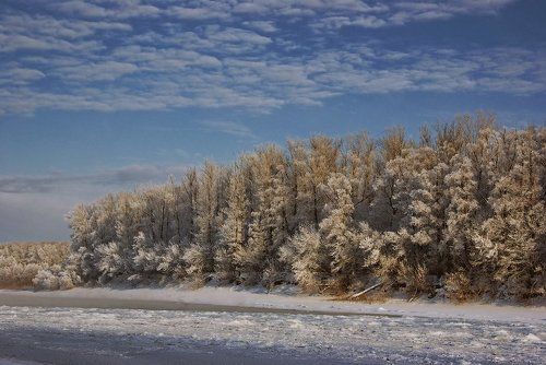 Морозная тишина