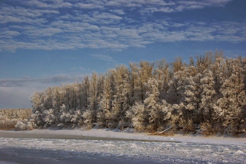 зима, река, иней Морозная тишина фото превью
