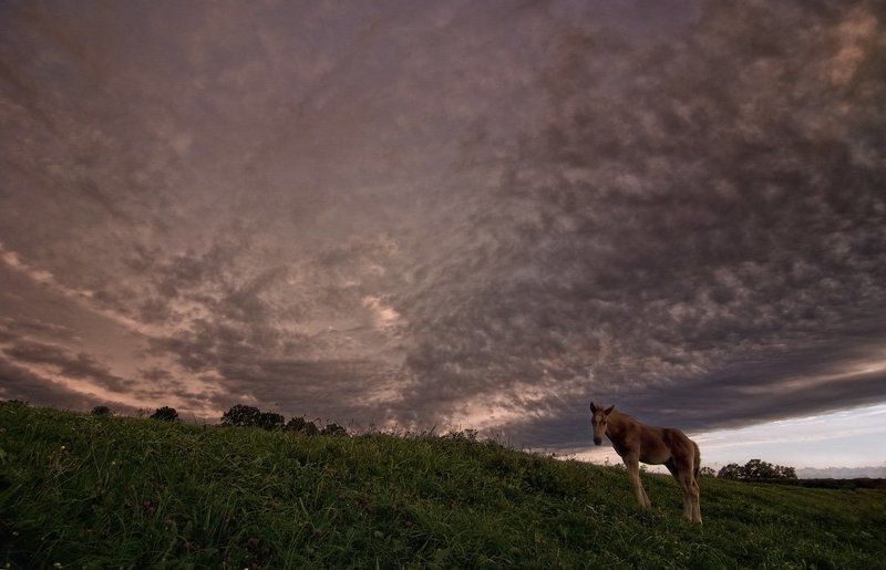 вечер, у, реки Один  у реки фото превью