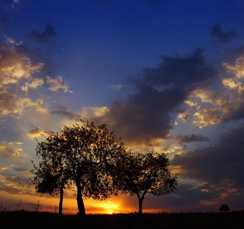 закатная фото превью