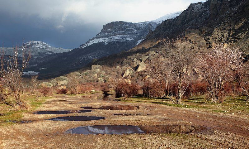 январь, крым, горы, миндаль цветёт Крымский новый год фото превью