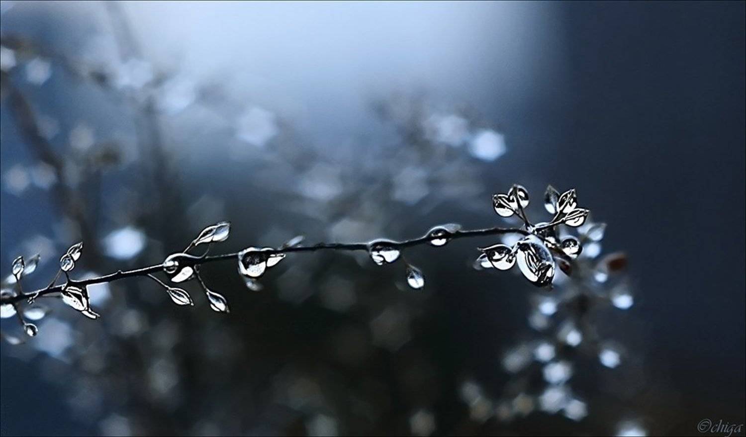 вода, капли, Chiga