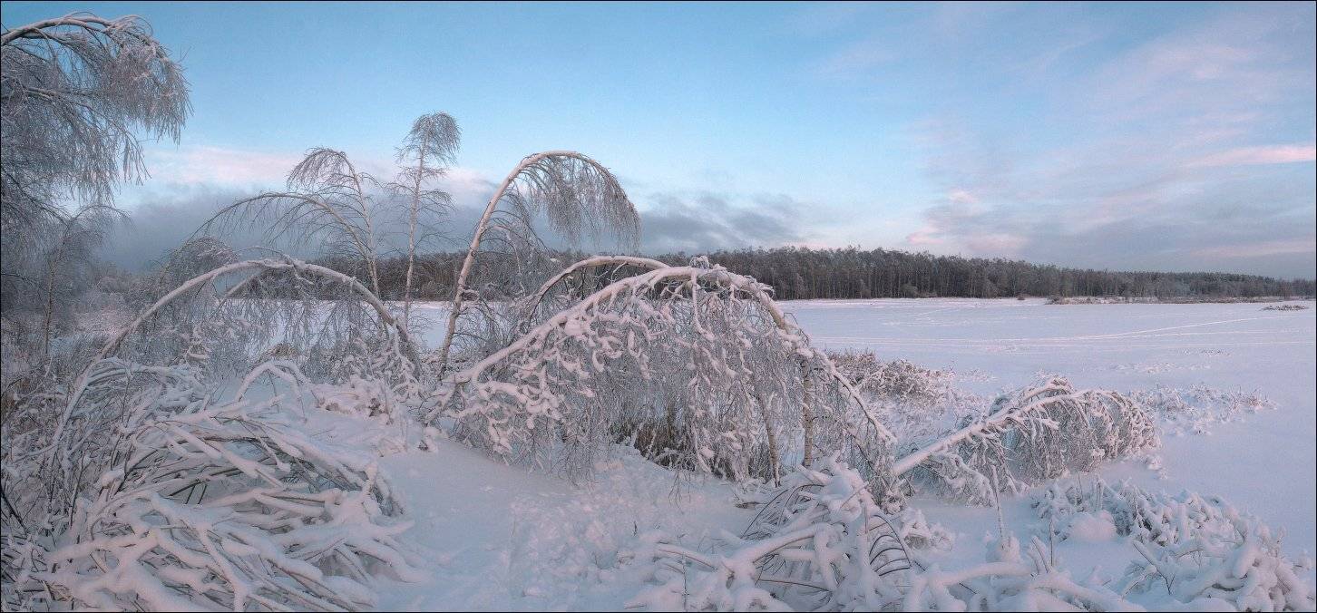 , Вадим Никифоров