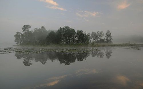 остров в тумане