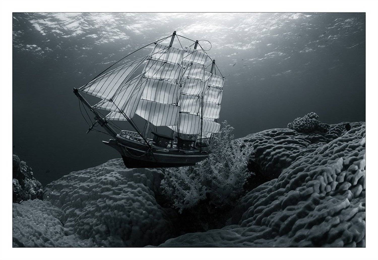 , Нарчук Андрей