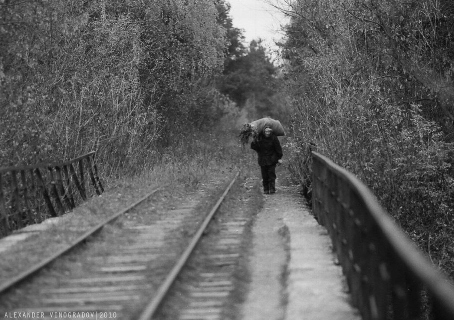 , Александр Виноградов