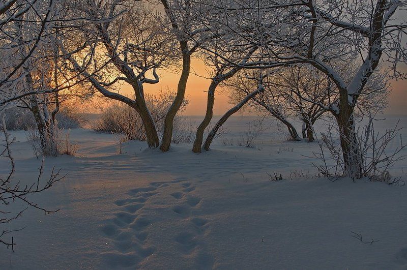 звуки, тишины... Звуки тишины... фото превью