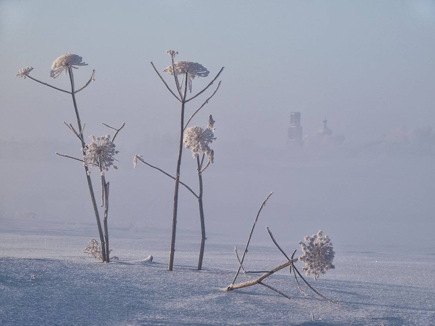 , Максим Евдокимов