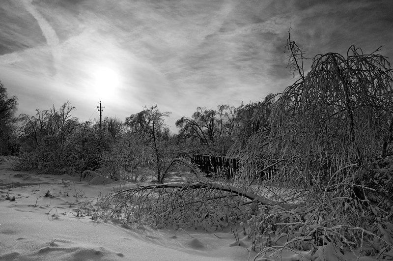 Зима в черно-белой тональности... фото превью