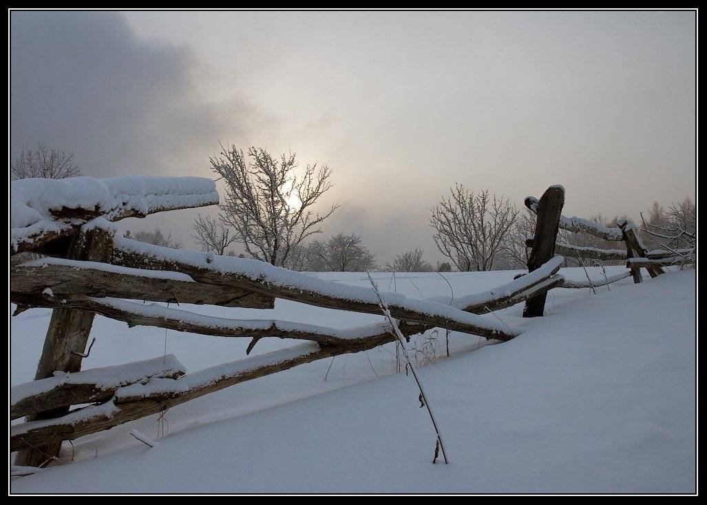 алтай, яйлю, Юрий Фролов