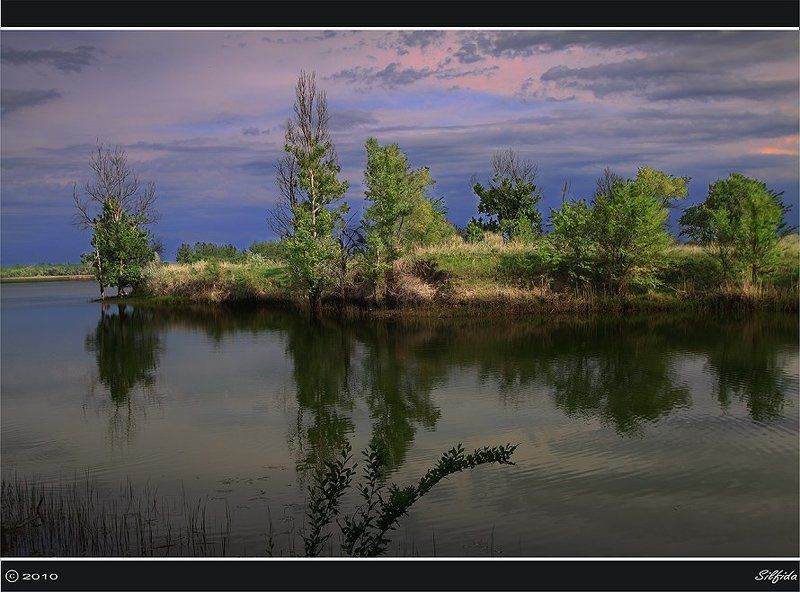 озеро, лето, рыбалка Карасиный рай. фото превью