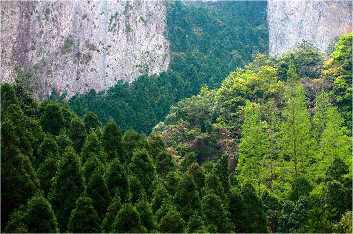 китай,лесной марш,янданшань, Александр Константинов