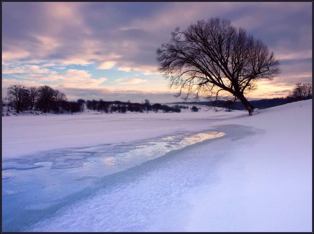 зима, вечер, берег, полынья, дерево, Владимир