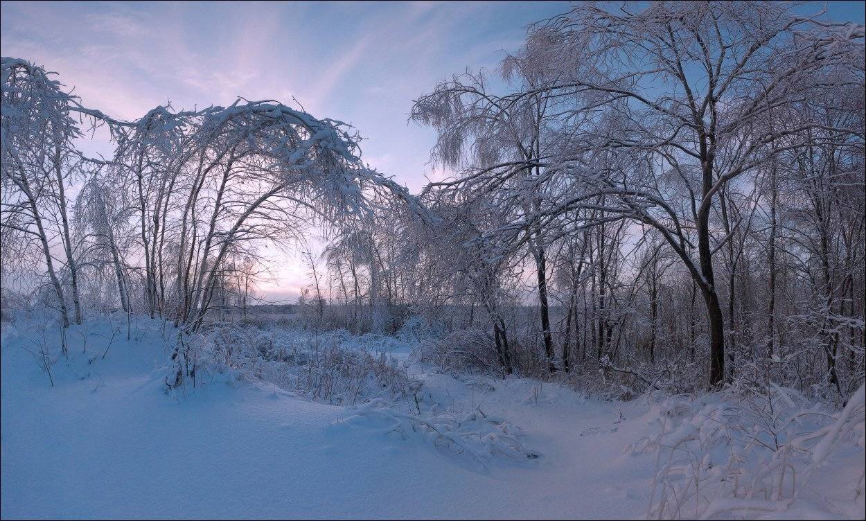 , Вадим Никифоров