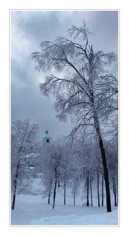 зима, пейзаж, снег, деревья, церковь зимний этюд фото превью