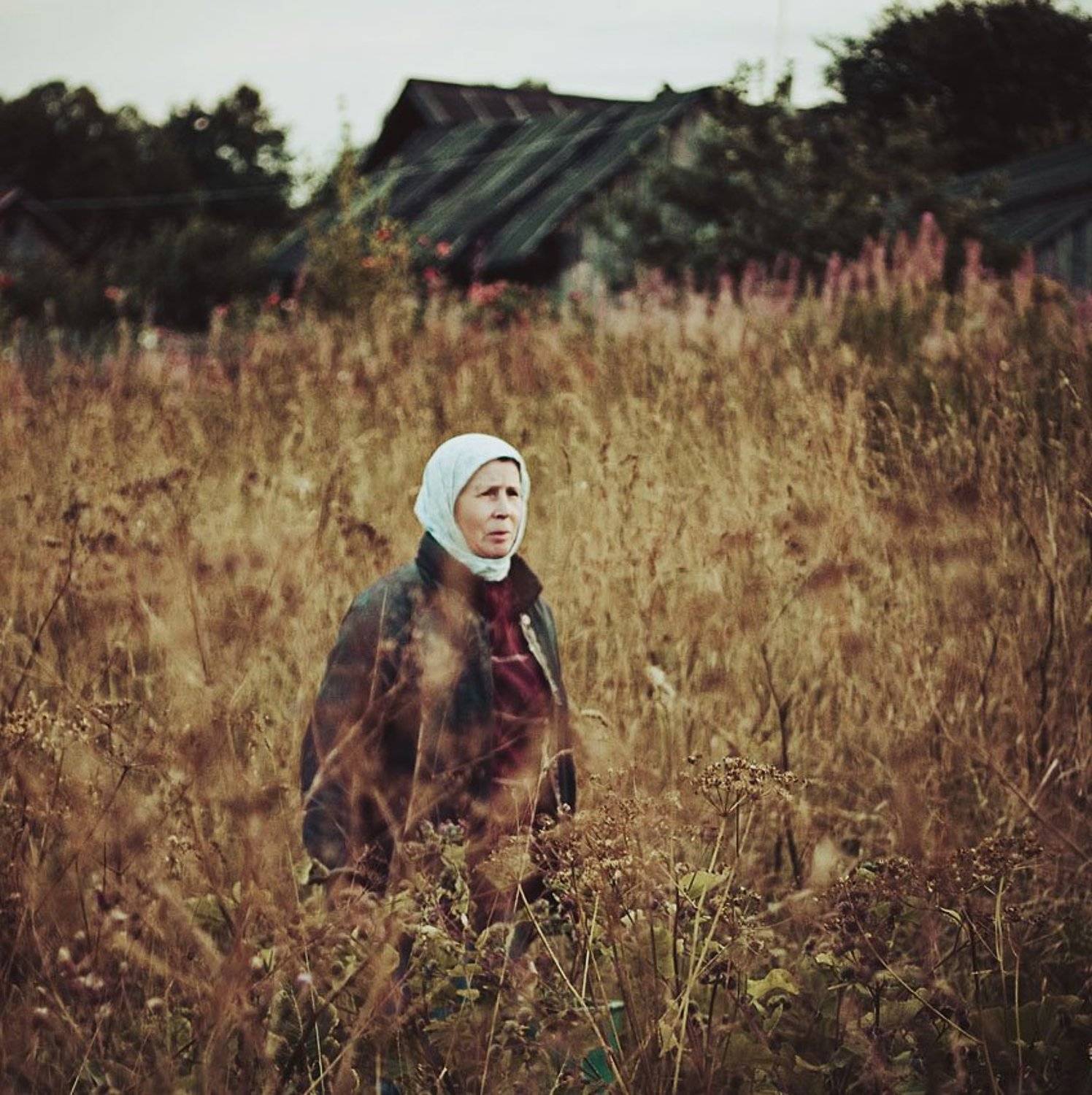 жанровый, портрет, женщина, деверня, Игорь Павлов